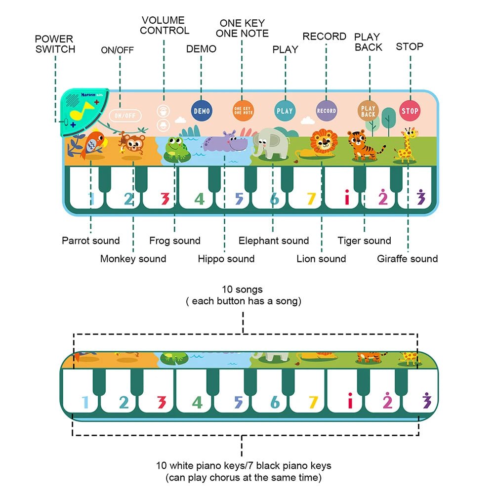 fonctions